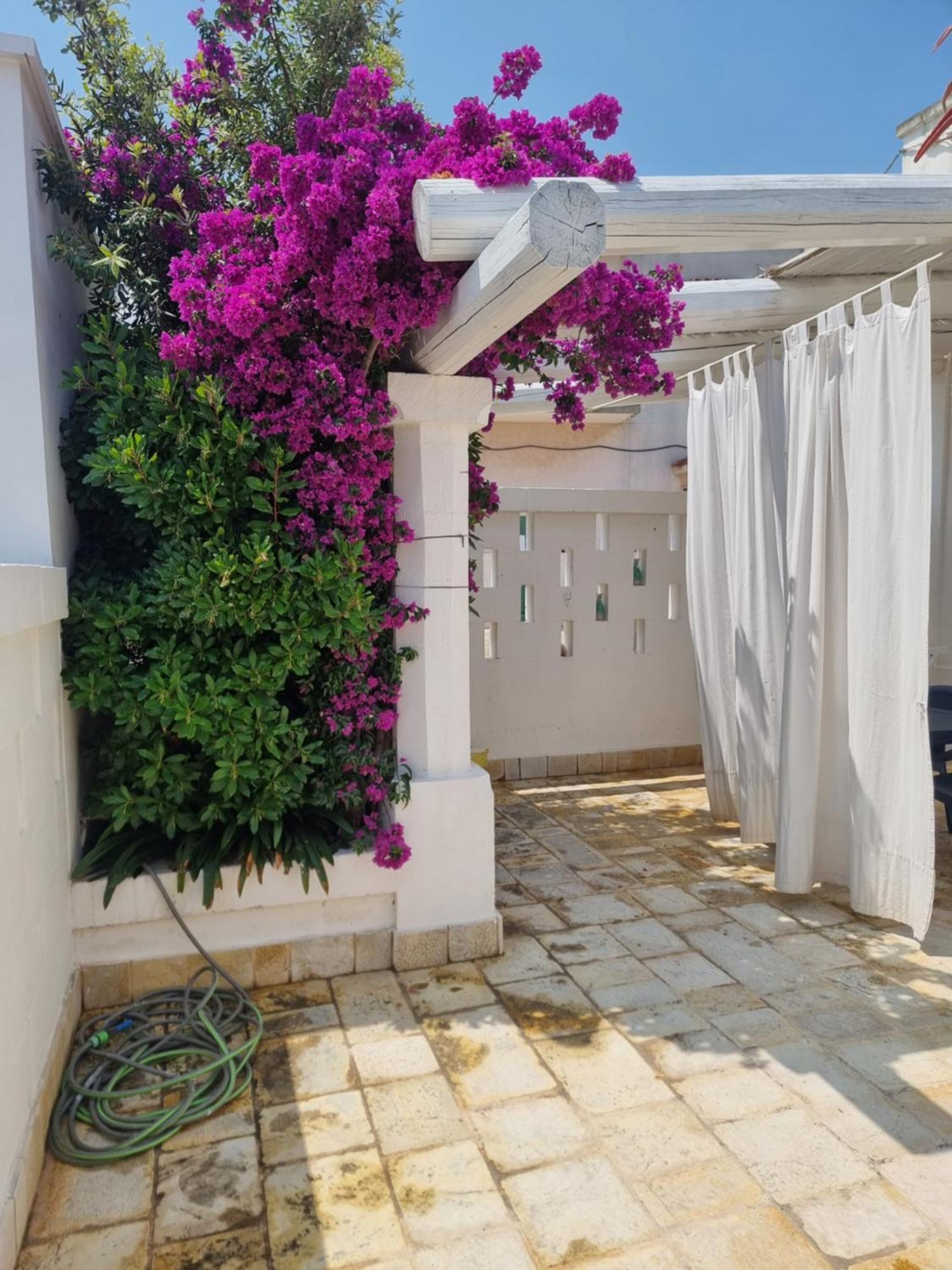 Villini Di Sant'Andreas Apartamento Monopoli Exterior foto